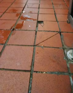 Ceramic tile flooring often cracks and water seeps in.